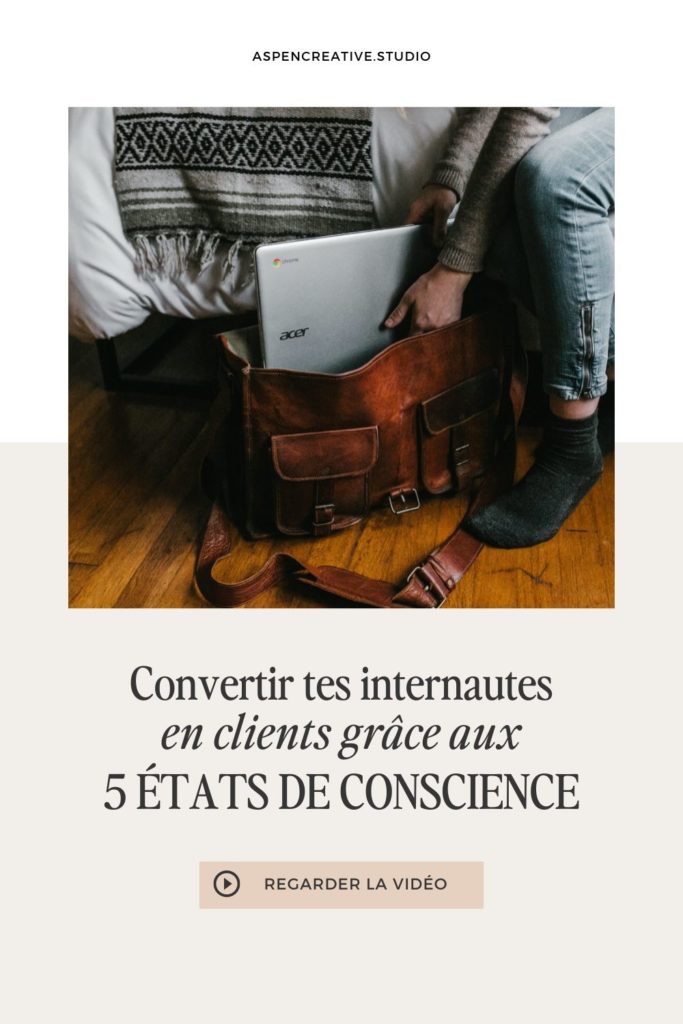 Visuel Pinterest pour l'article "Convertir les internautes en clients grâce aux 5 états de conscience"