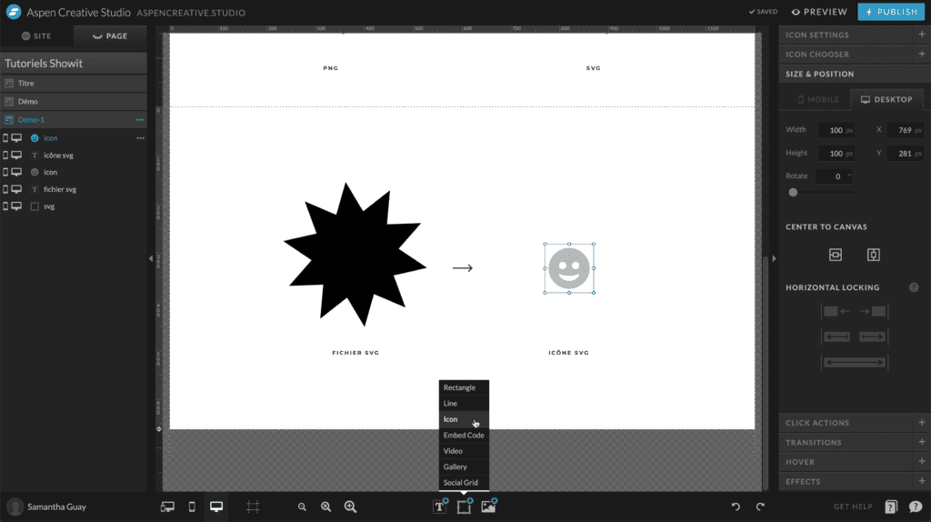 Capture d'écran au sein de Showit pour montrer les réglages d'icônes SVG sur-mesure