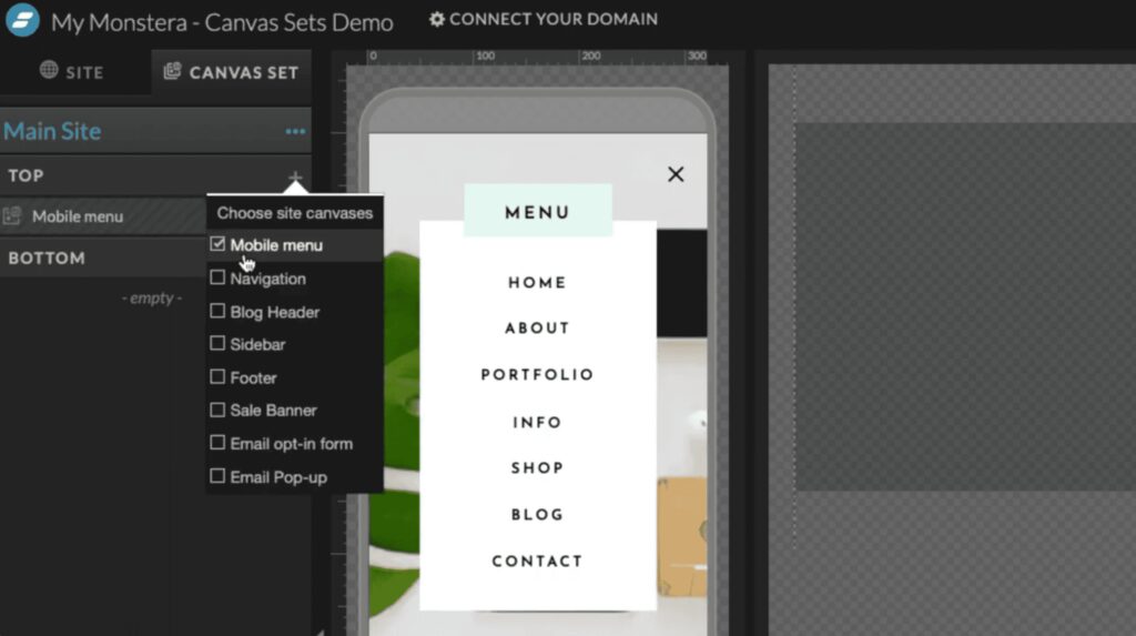 Capture d'écran de l'interface Showit pour démontrer l'utilisation des canvas sets
